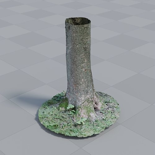 Tree Photoscan 3D model