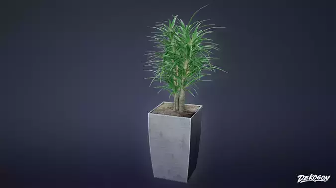 STUDIO OFFICES - Large Office Plant 01 - LOW POLY
