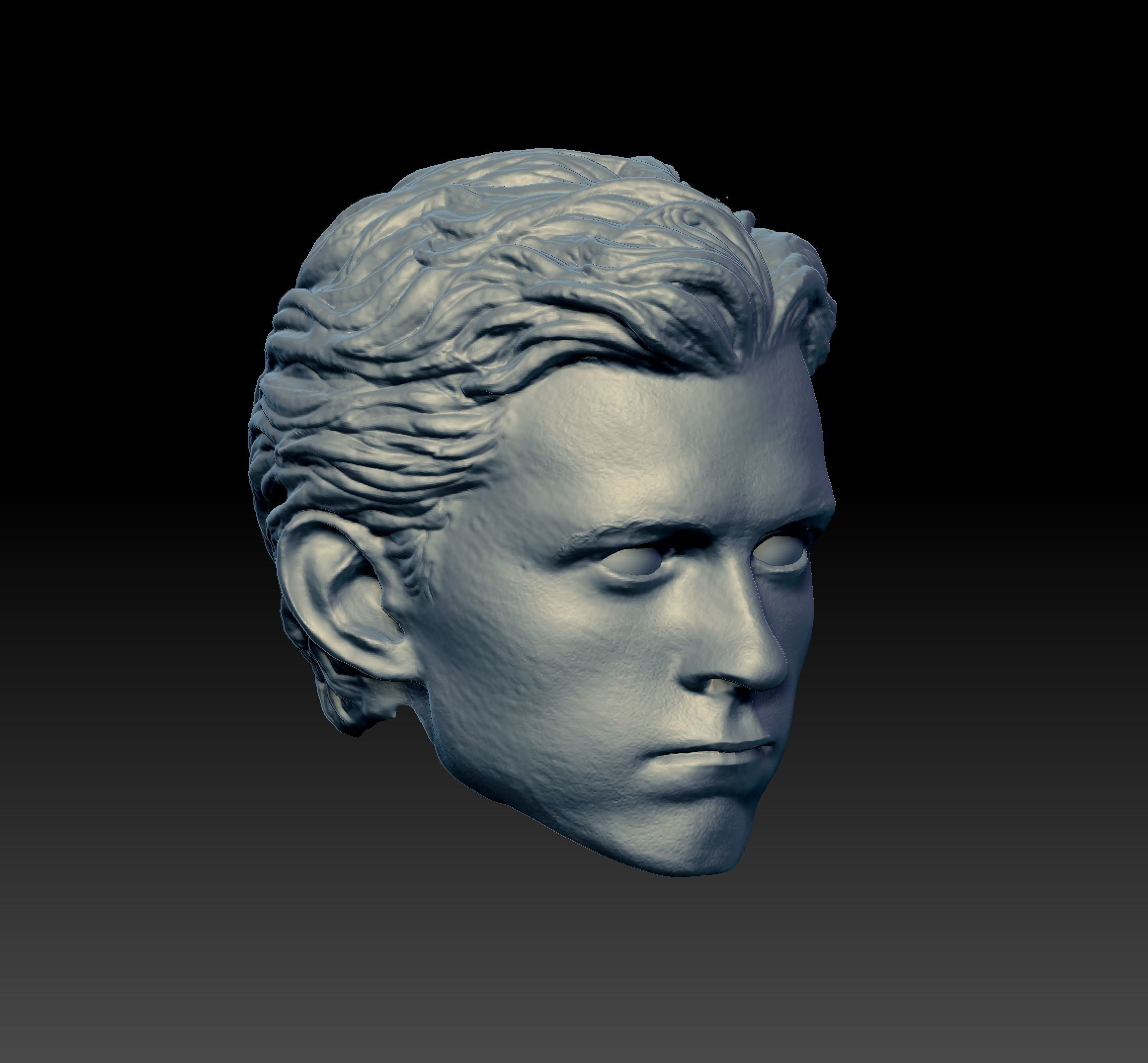 Tom H Head 3D print model_2