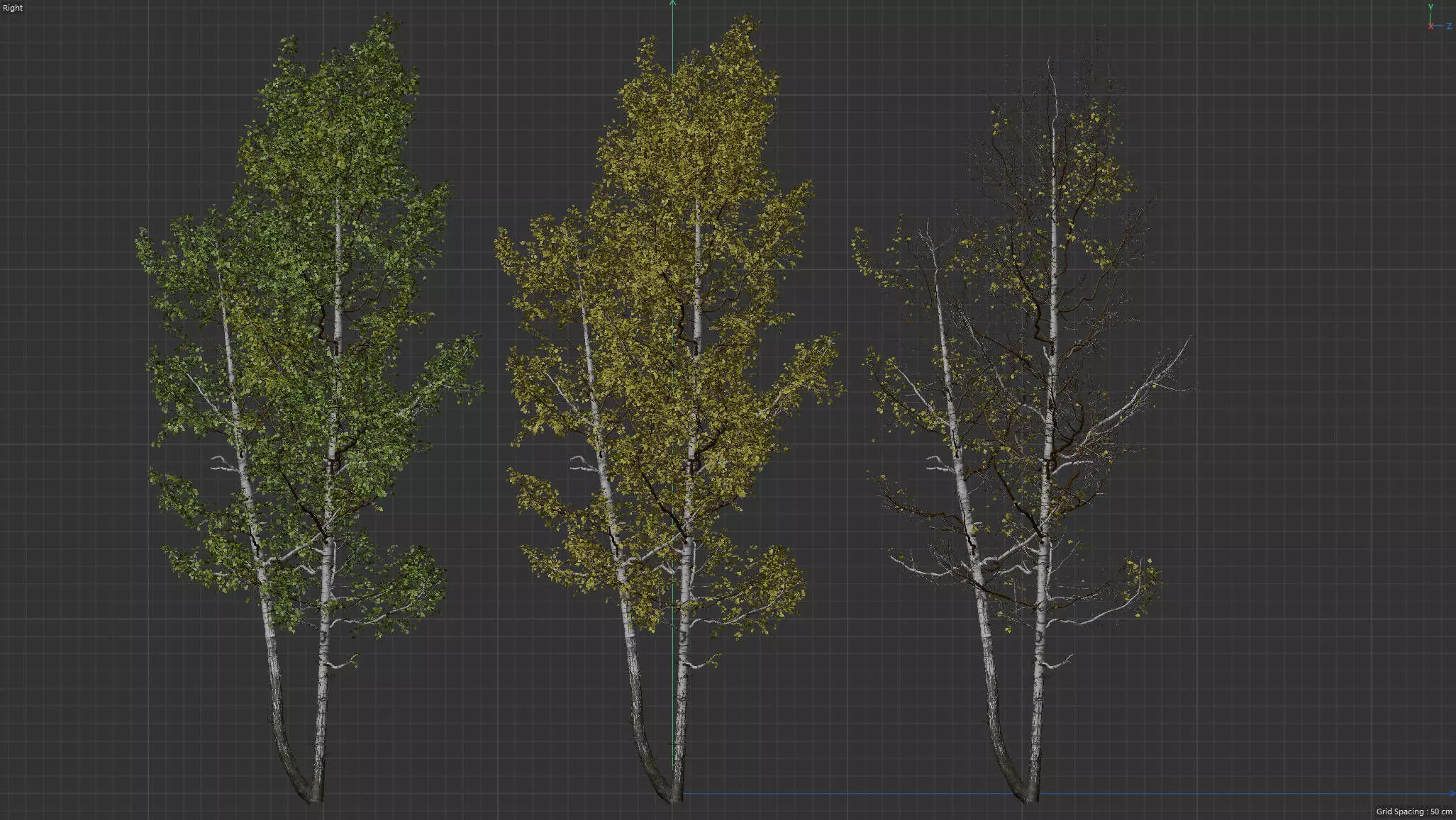 High quality Aspen tree 02 3D model