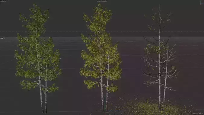 High quality Aspen tree 03 3D model