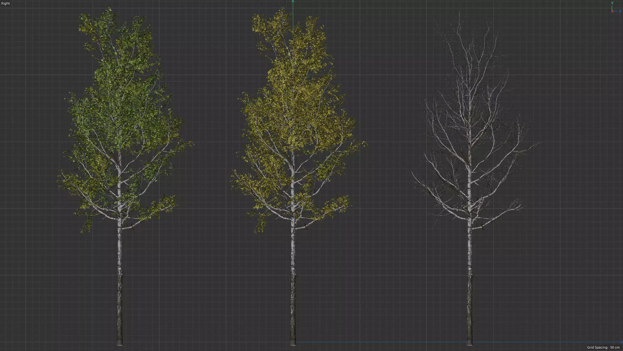 High quality Aspen tree 05 3D model