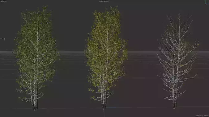 High quality Aspen tree 06 3D model