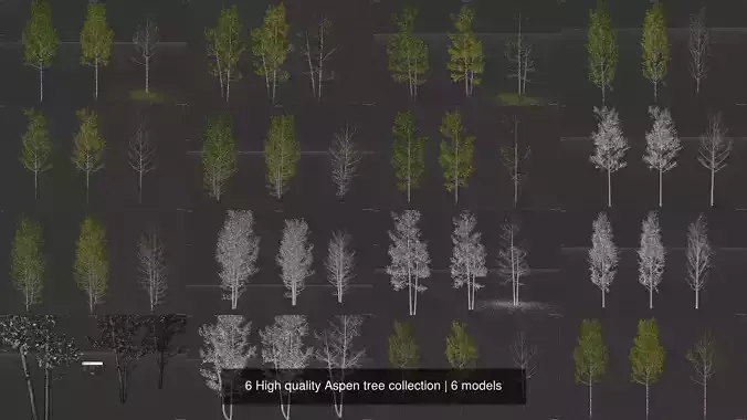 6 High quality Aspen tree collection 