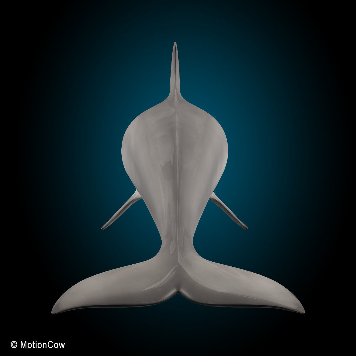 Dolphin Bottlenose V2 3D model_11
