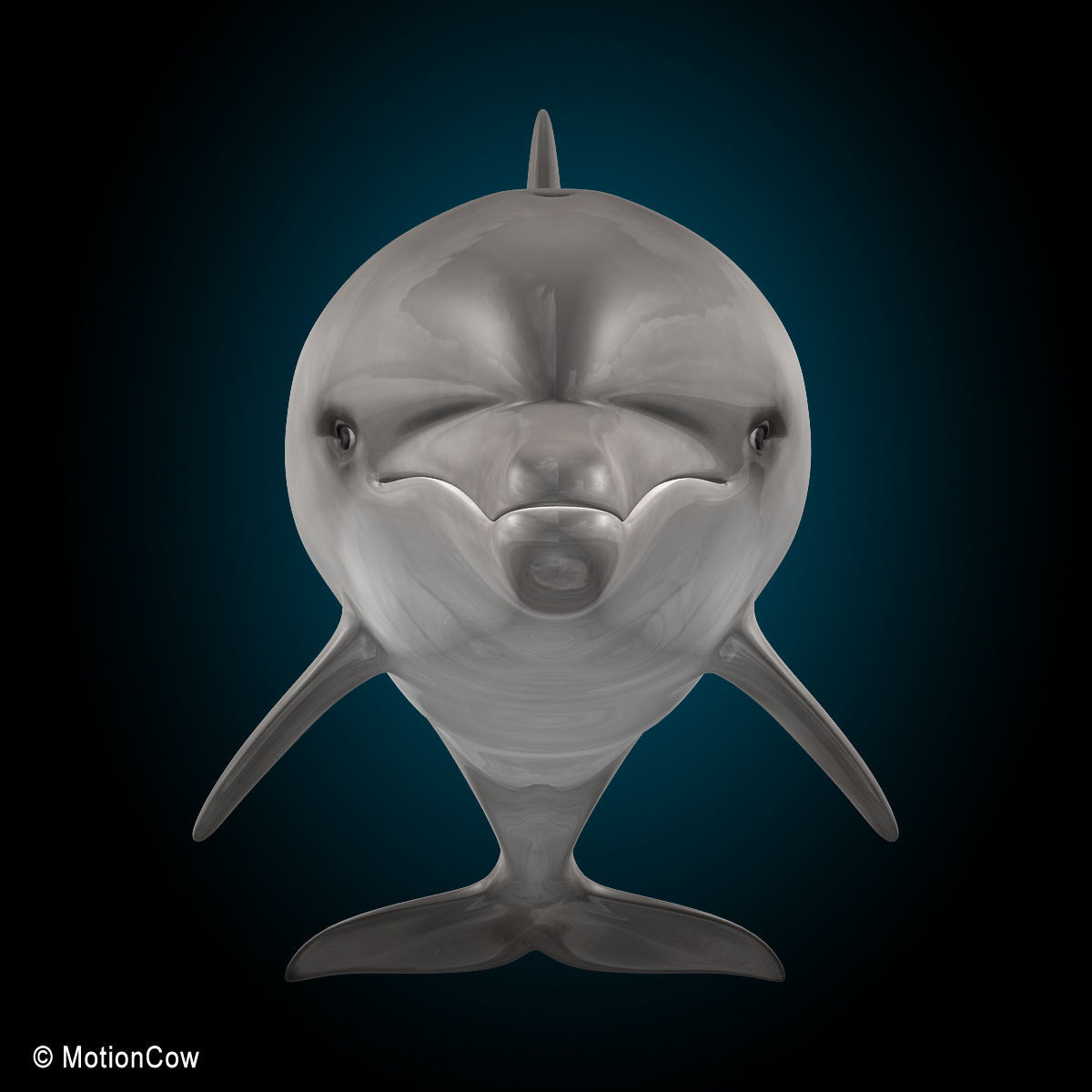 Dolphin Bottlenose V2 3D model_10