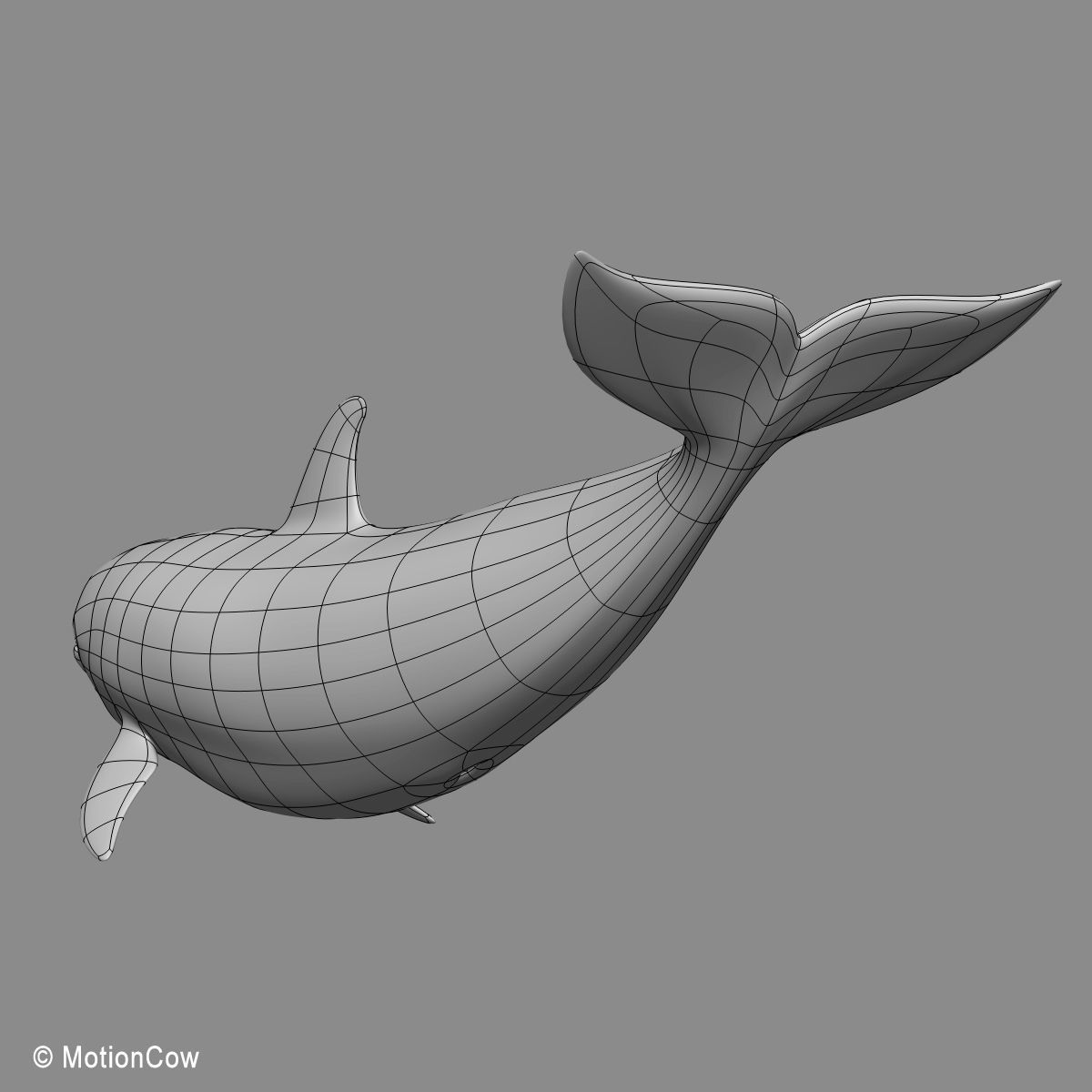 Dolphin Bottlenose V2 3D model_17