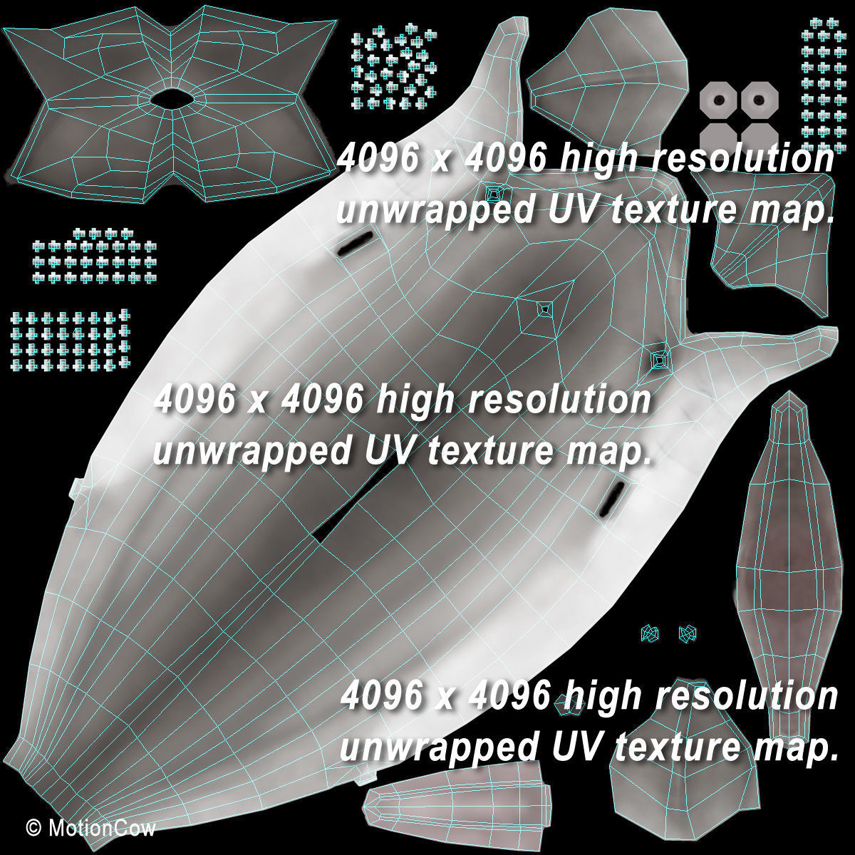 Dolphin Bottlenose V2 3D model_18