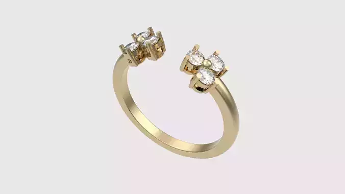 Dual Cluster Open Ring JDBCo 3D print model