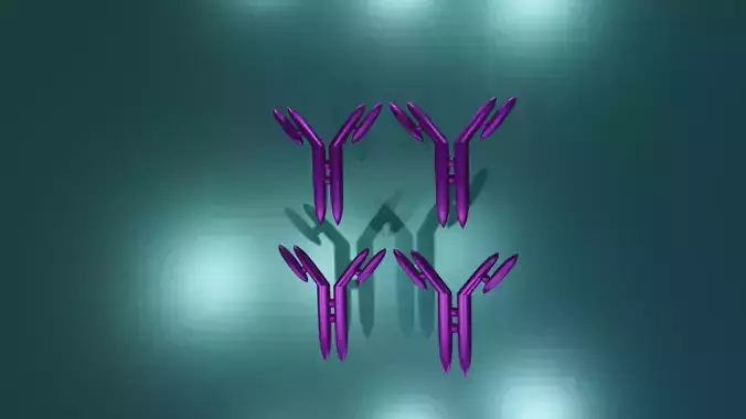 3D model of Immunoglobulin IgG - monomer