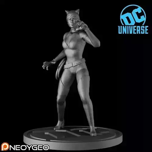 CATWOMAN - DC UNIVERSE