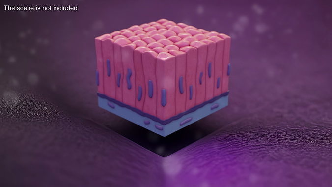 Columnar Epithelium