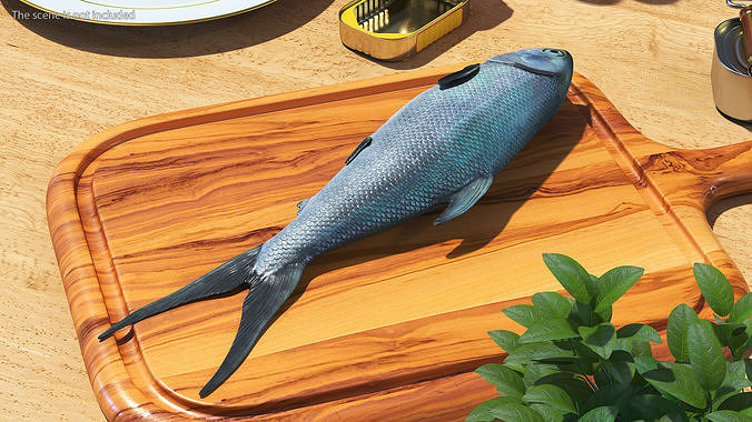 Raw Bangus 3D model 3