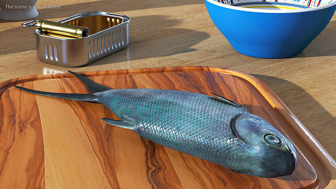 Raw Bangus 3D model 2