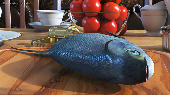 Raw Bangus 3D model 4