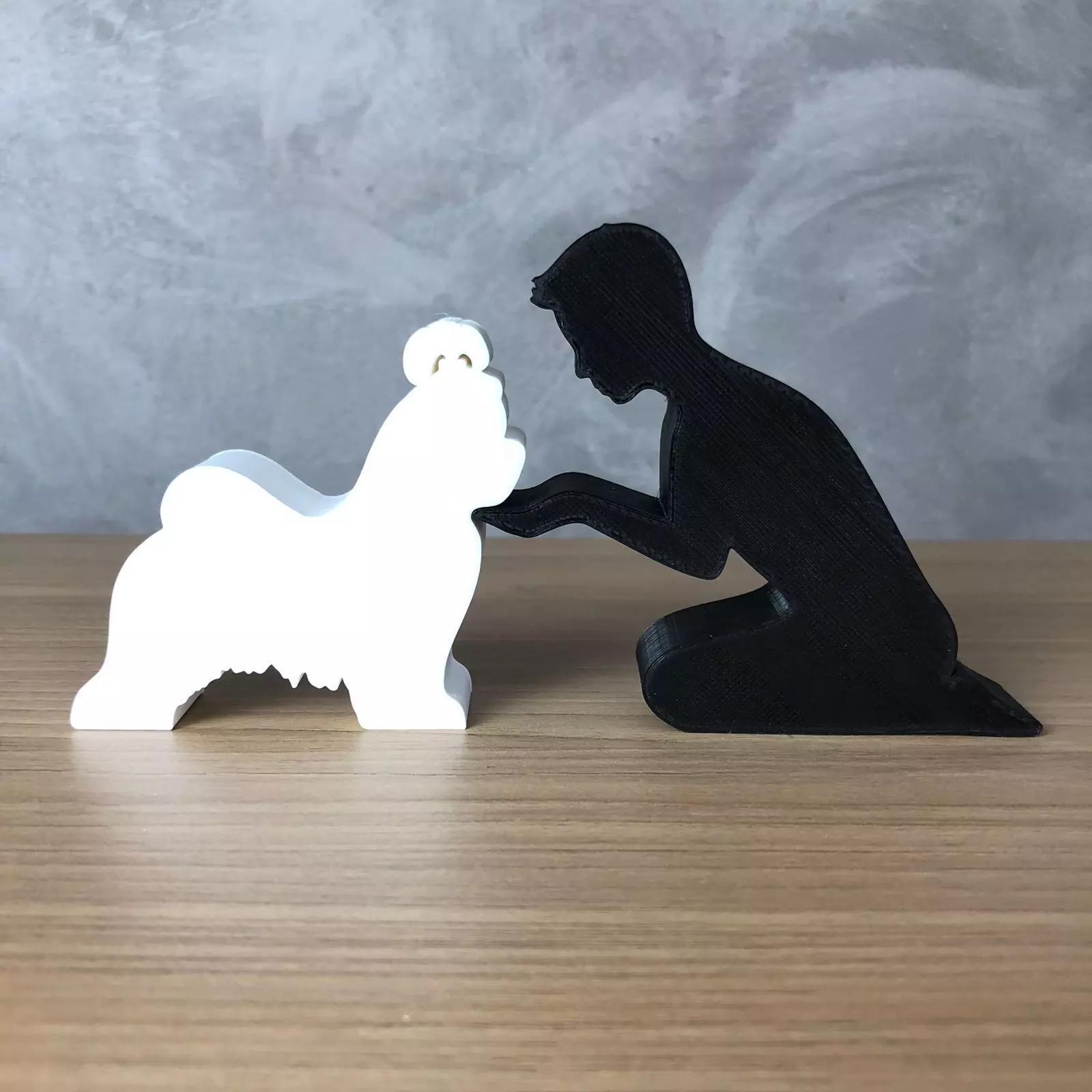 Boy and his Shih Tzu for 3D printer or laser cut 3D print model_0
