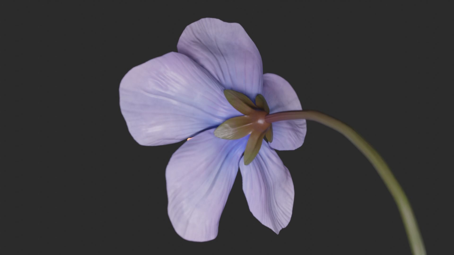 Blue Forest Flower Animated Low Poly Low-poly 3D model_13