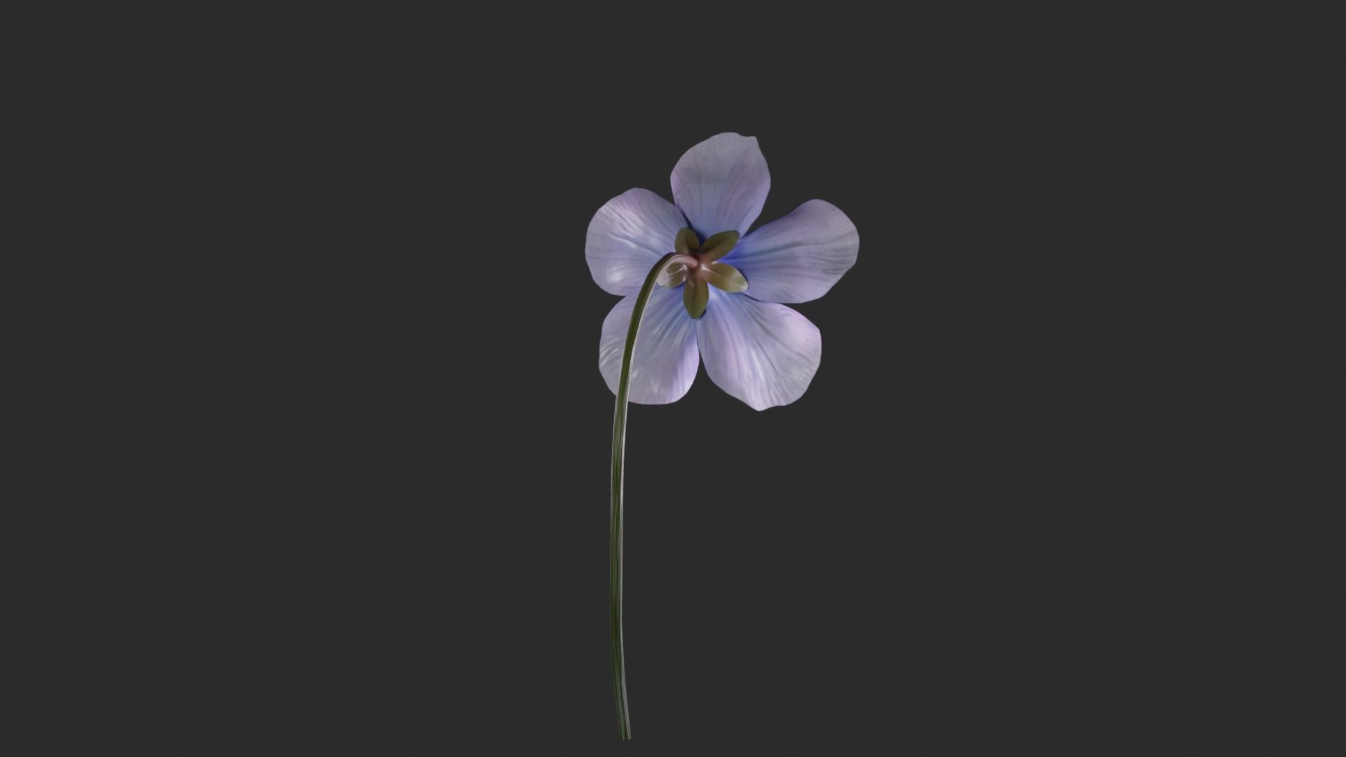 Blue Forest Flower Animated Low Poly Low-poly 3D model_8