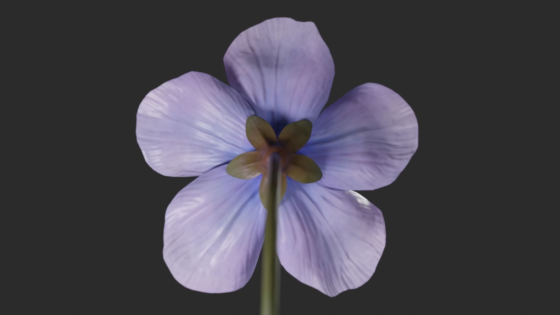 Blue Forest Flower Animated Low Poly Low-poly 3D model_3