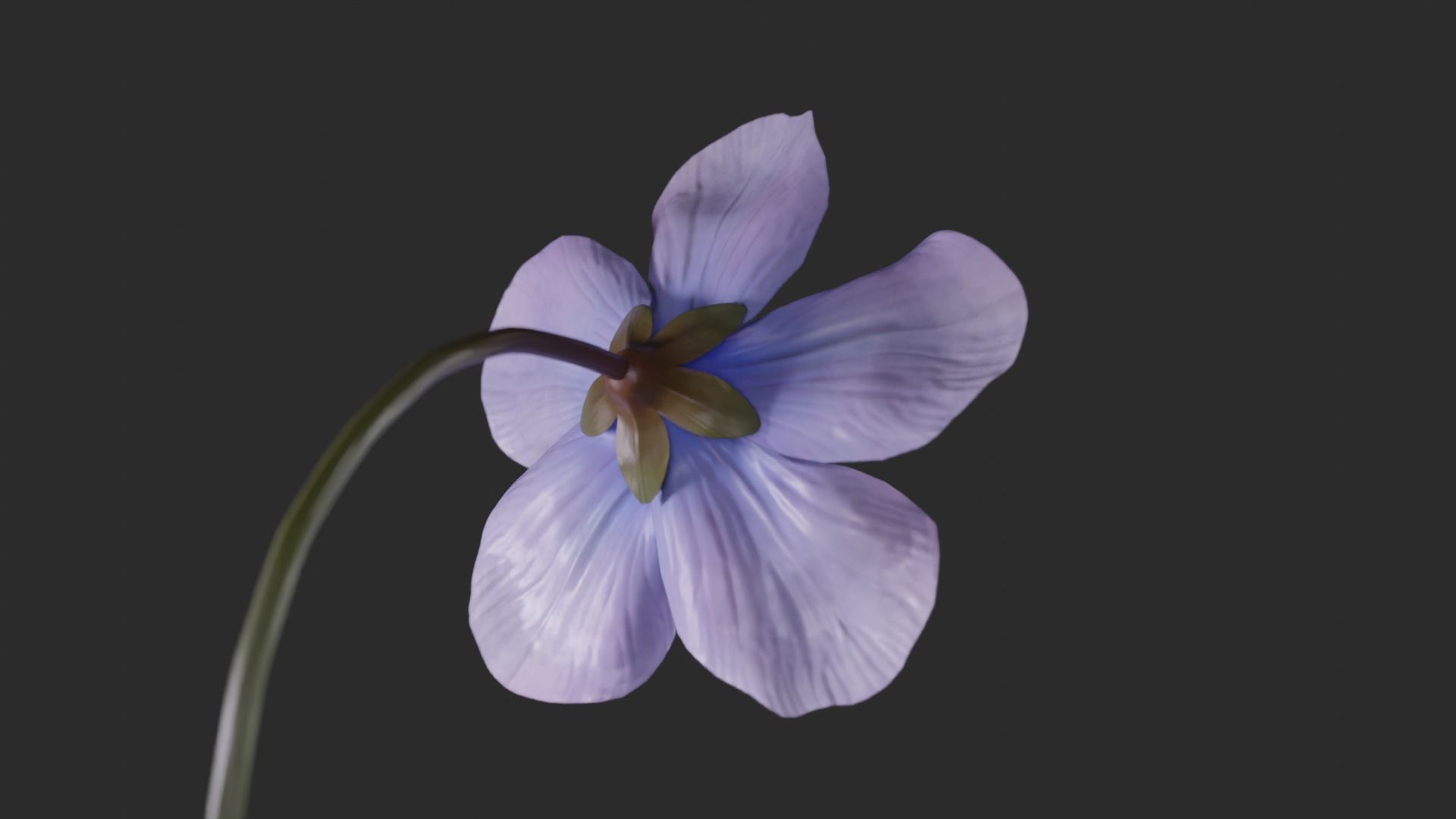 Blue Forest Flower Animated Low Poly Low-poly 3D model_14