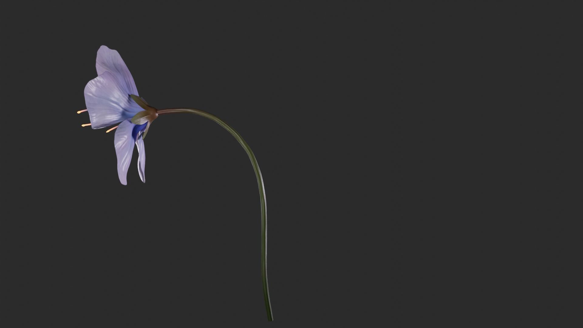 Blue Forest Flower Animated Low Poly Low-poly 3D model_10