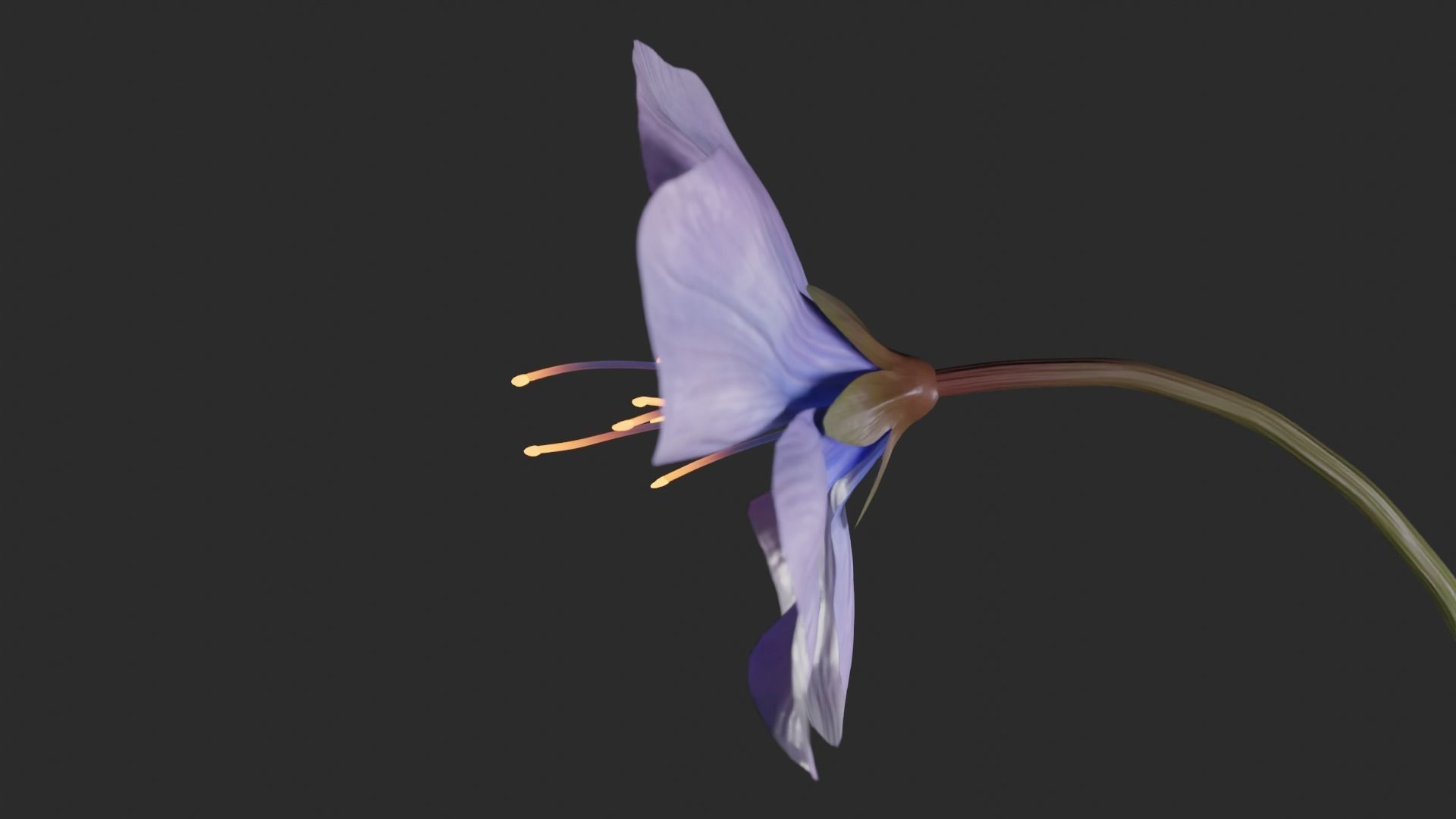 Blue Forest Flower Animated Low Poly Low-poly 3D model_16