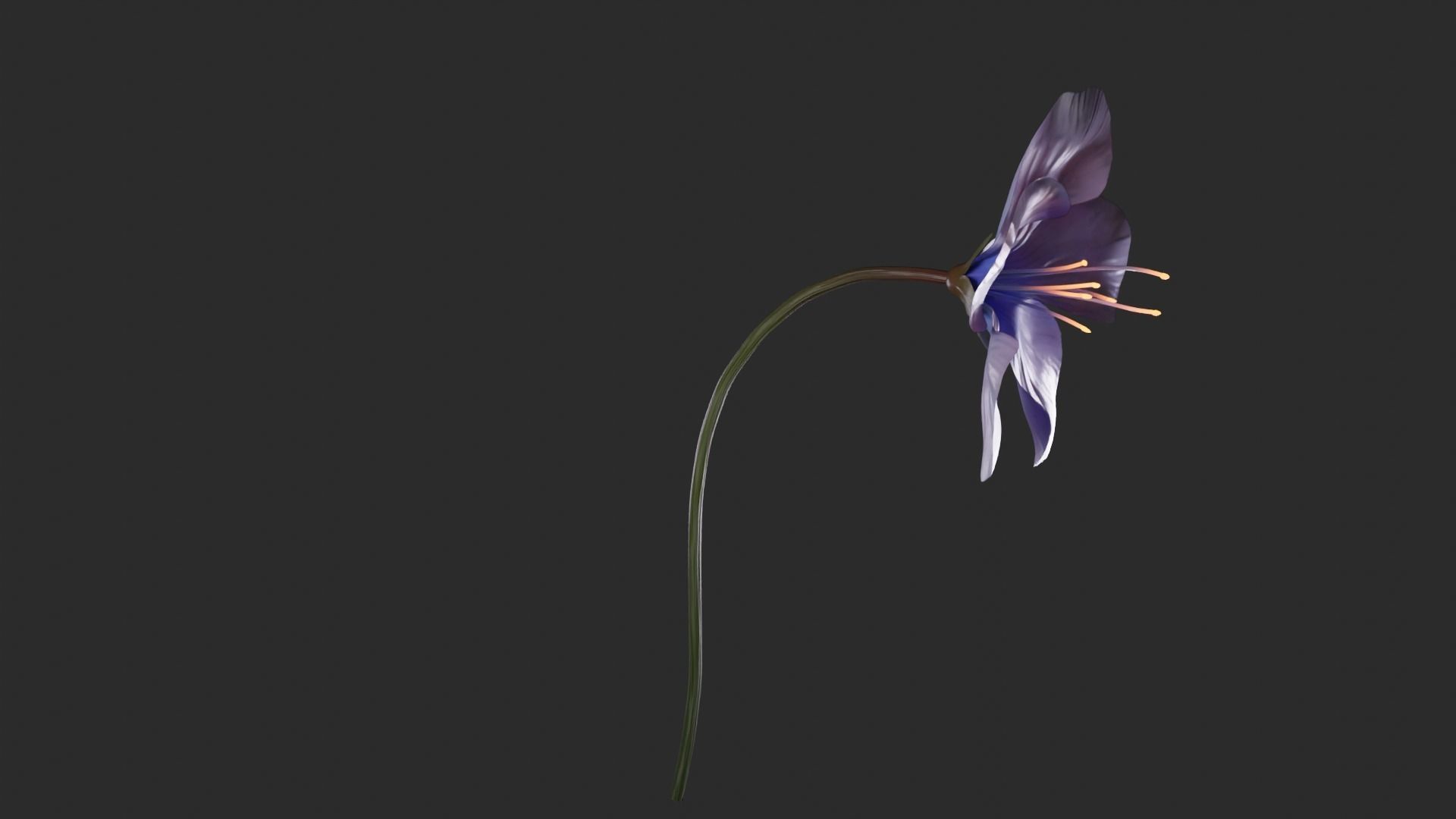 Blue Forest Flower Animated Low Poly Low-poly 3D model_6