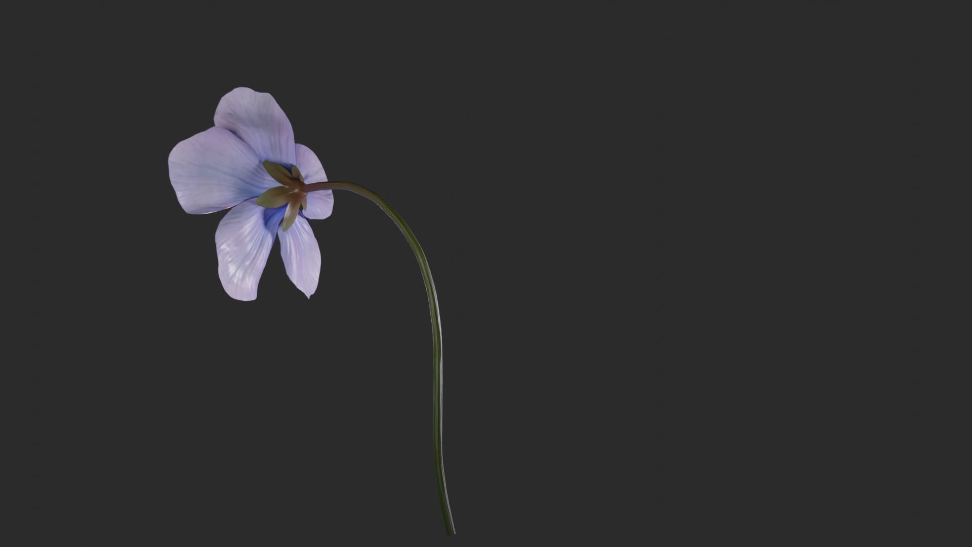 Blue Forest Flower Animated Low Poly Low-poly 3D model_9