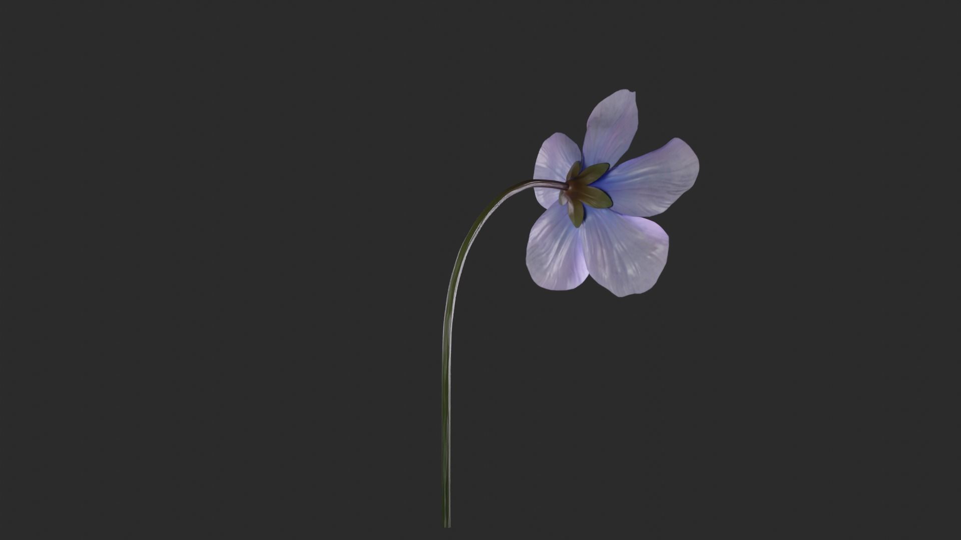 Blue Forest Flower Animated Low Poly Low-poly 3D model_7