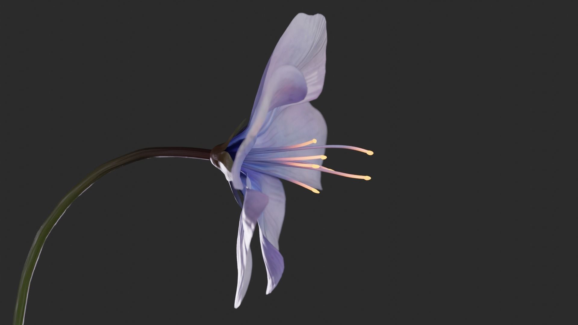 Blue Forest Flower Animated Low Poly Low-poly 3D model_17
