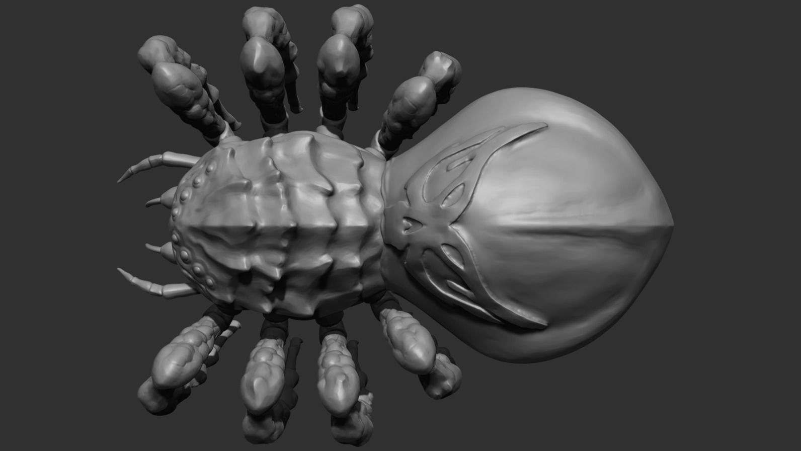 Giant Spider Low-poly 3D model_14