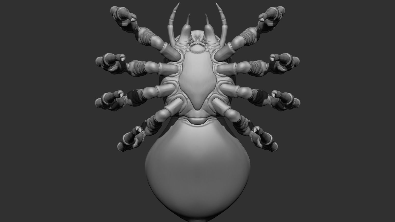 Giant Spider Low-poly 3D model_15