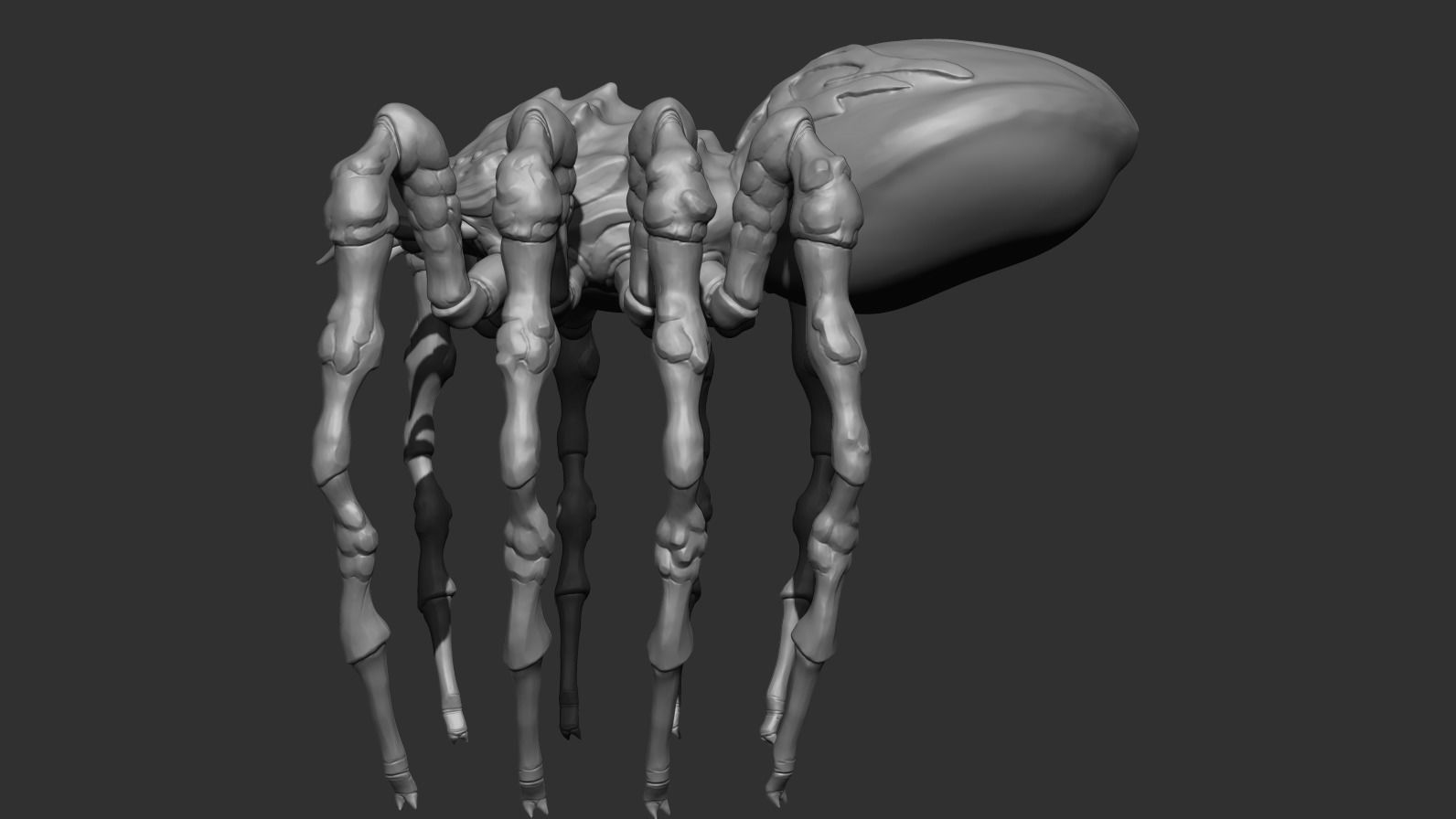 Giant Spider Low-poly 3D model_12