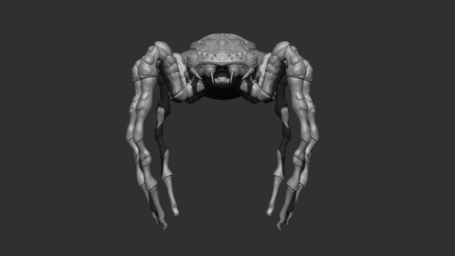 Giant Spider Low-poly 3D model_11