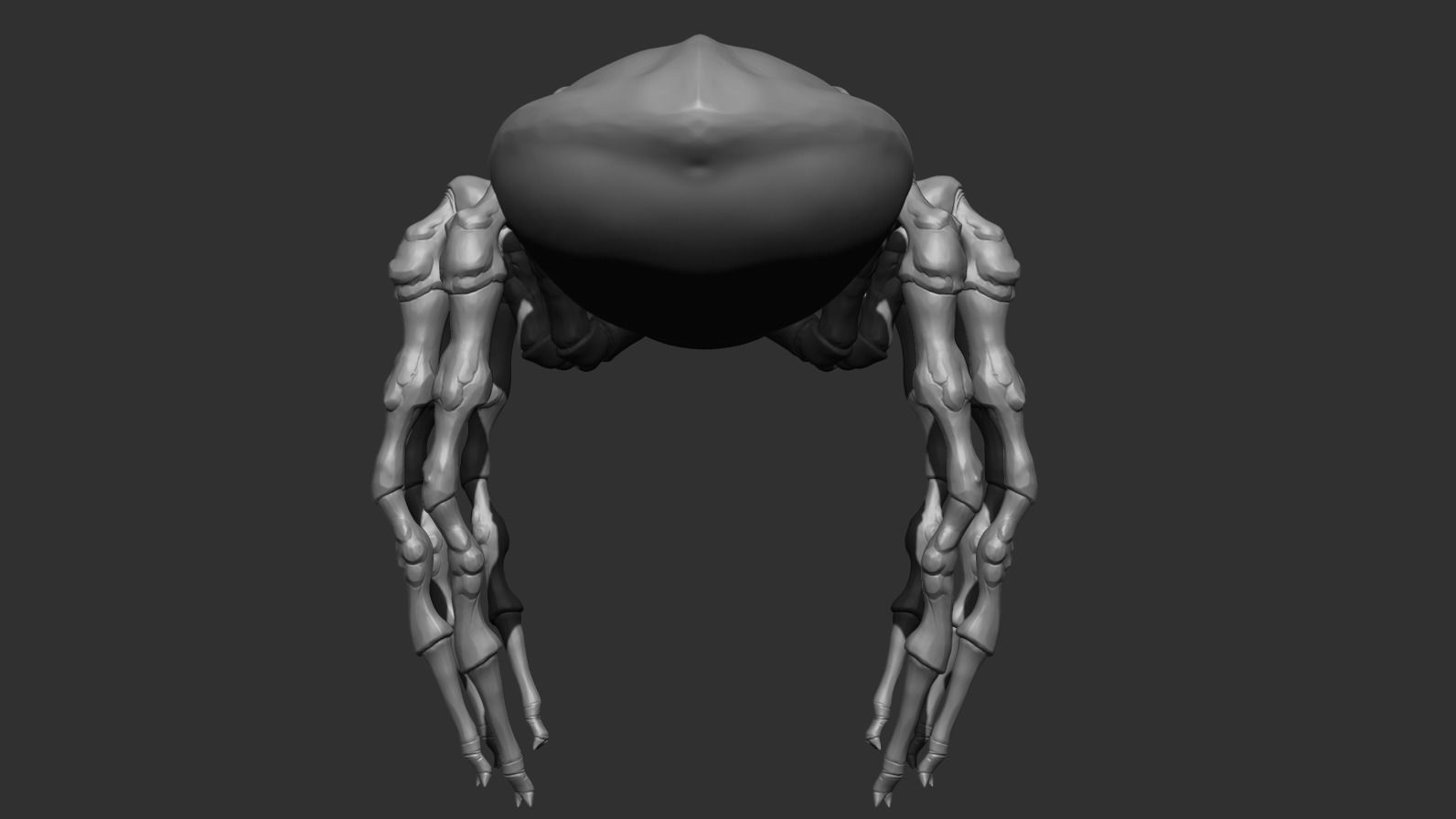 Giant Spider Low-poly 3D model_13