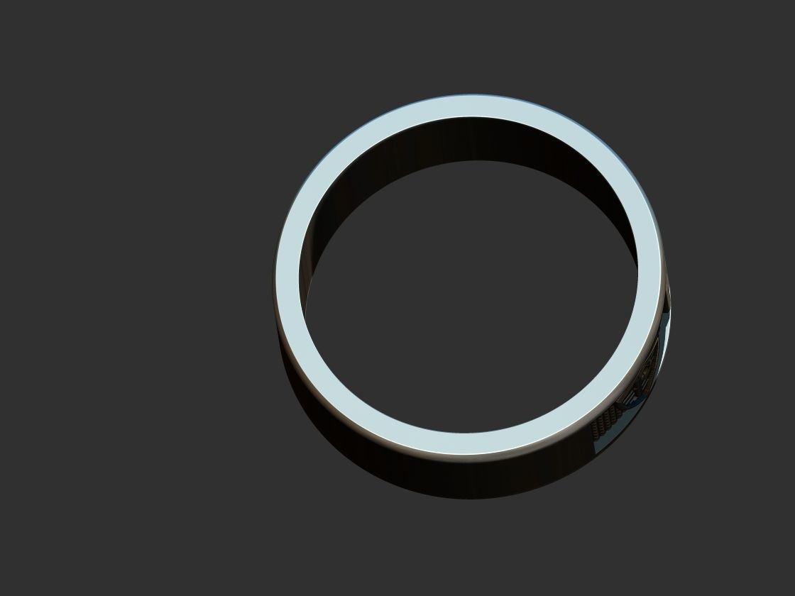 Palmeiras Anel 3D print model_7