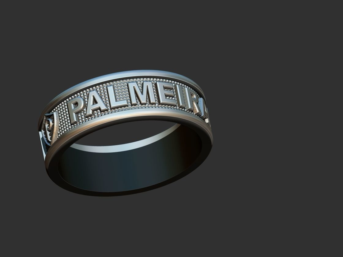 Palmeiras Anel 3D print model_10