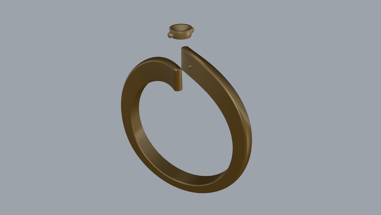 R 035 Standard Bypass Ring 3D print model_12