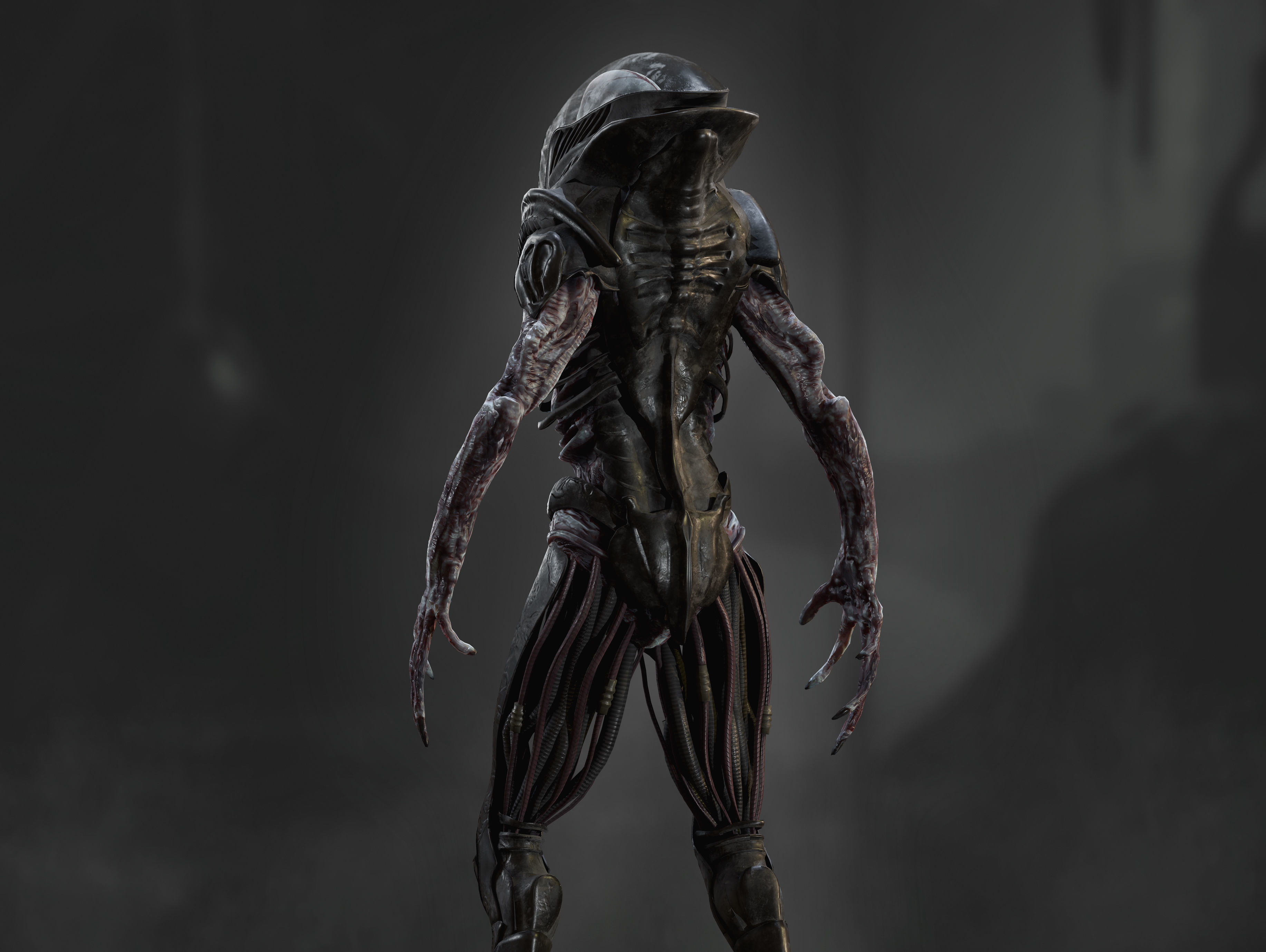 Artificial Cyborg Low-poly 3D model_7