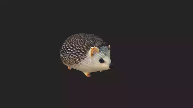 hedgehog 3D model Low-poly 3D model