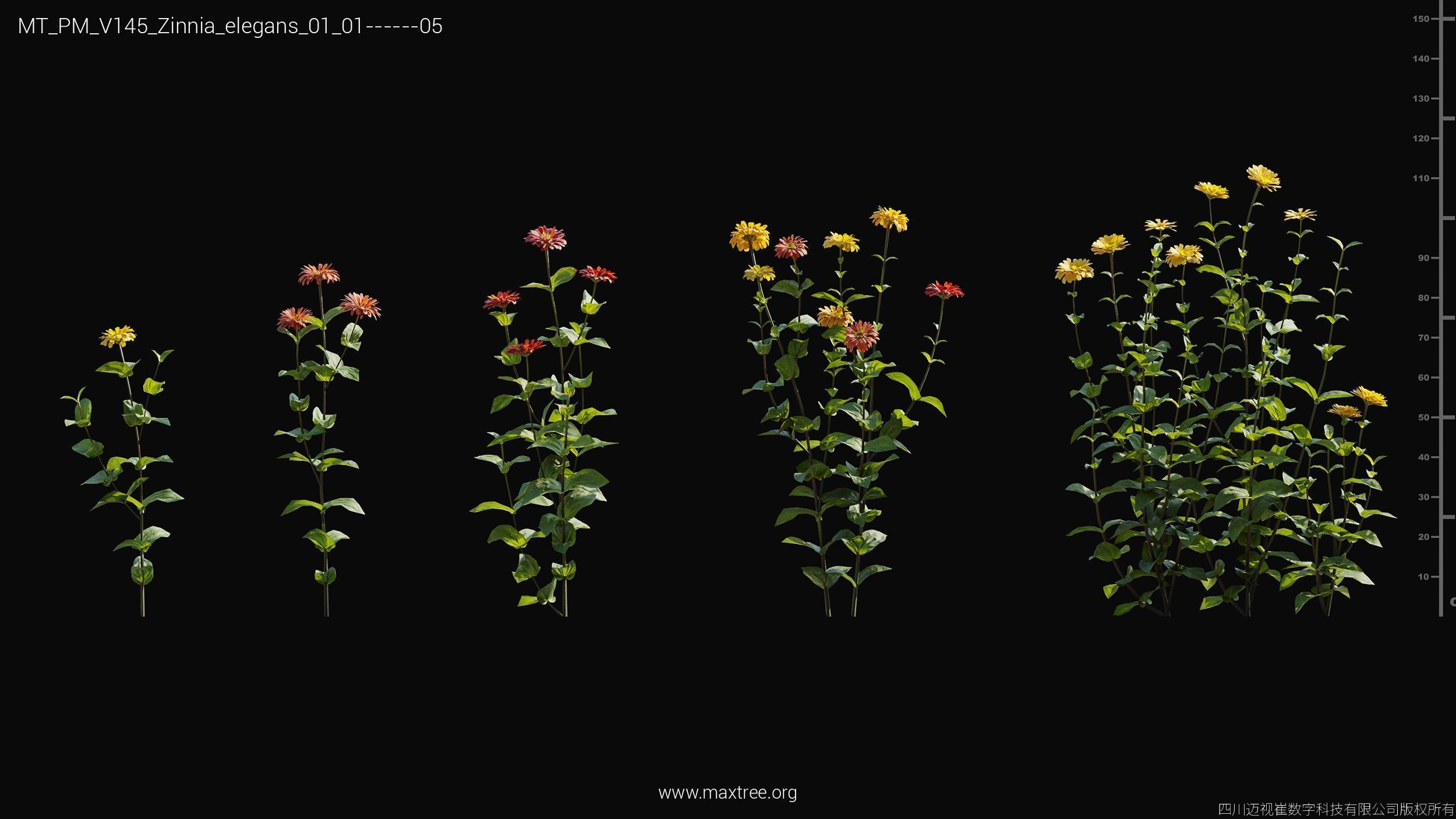 Maxtree Plant Models Vol 145 - Mesh 3D model_60