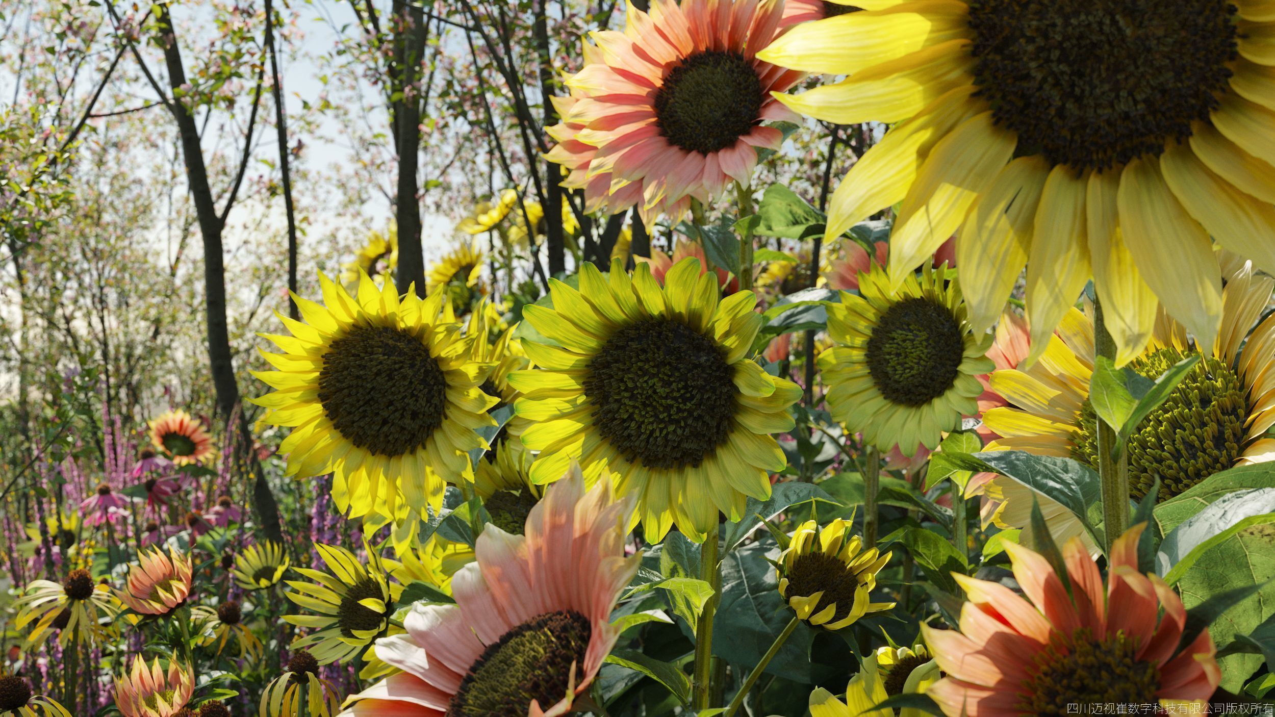 Maxtree Plant Models Vol 145 - Mesh 3D model_2