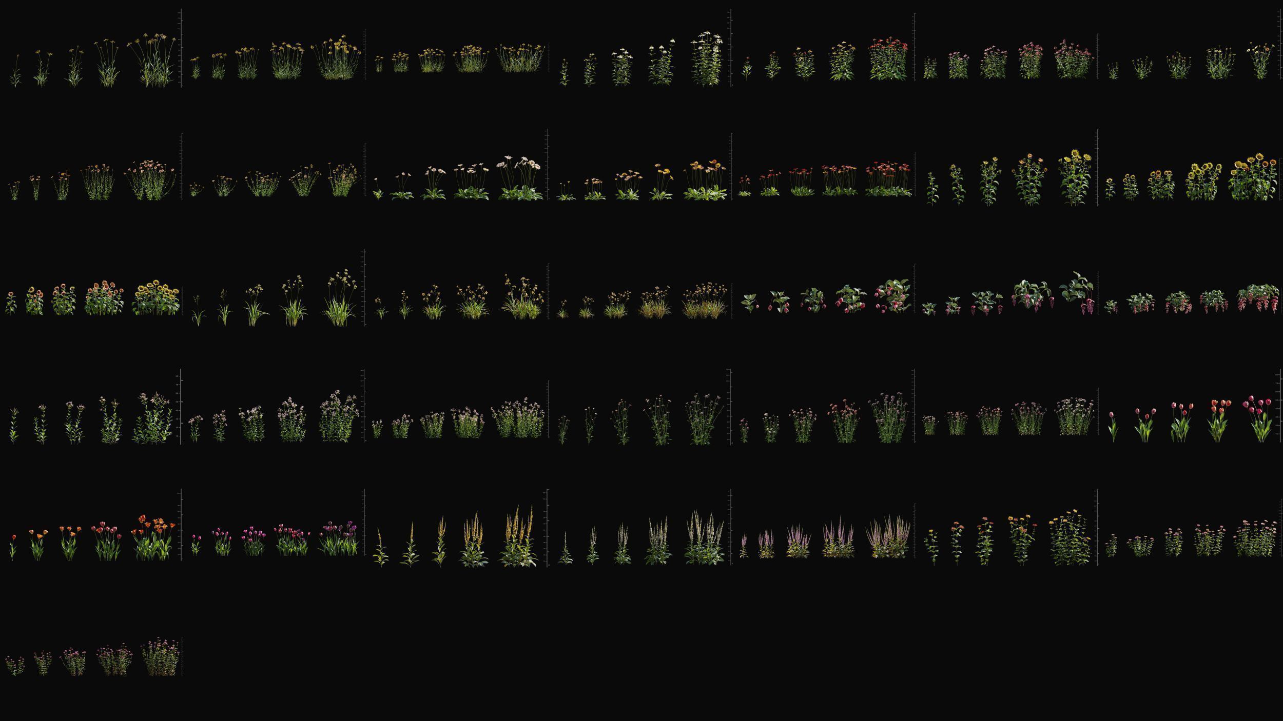 Maxtree Plant Models Vol 145 - Mesh 3D model_4