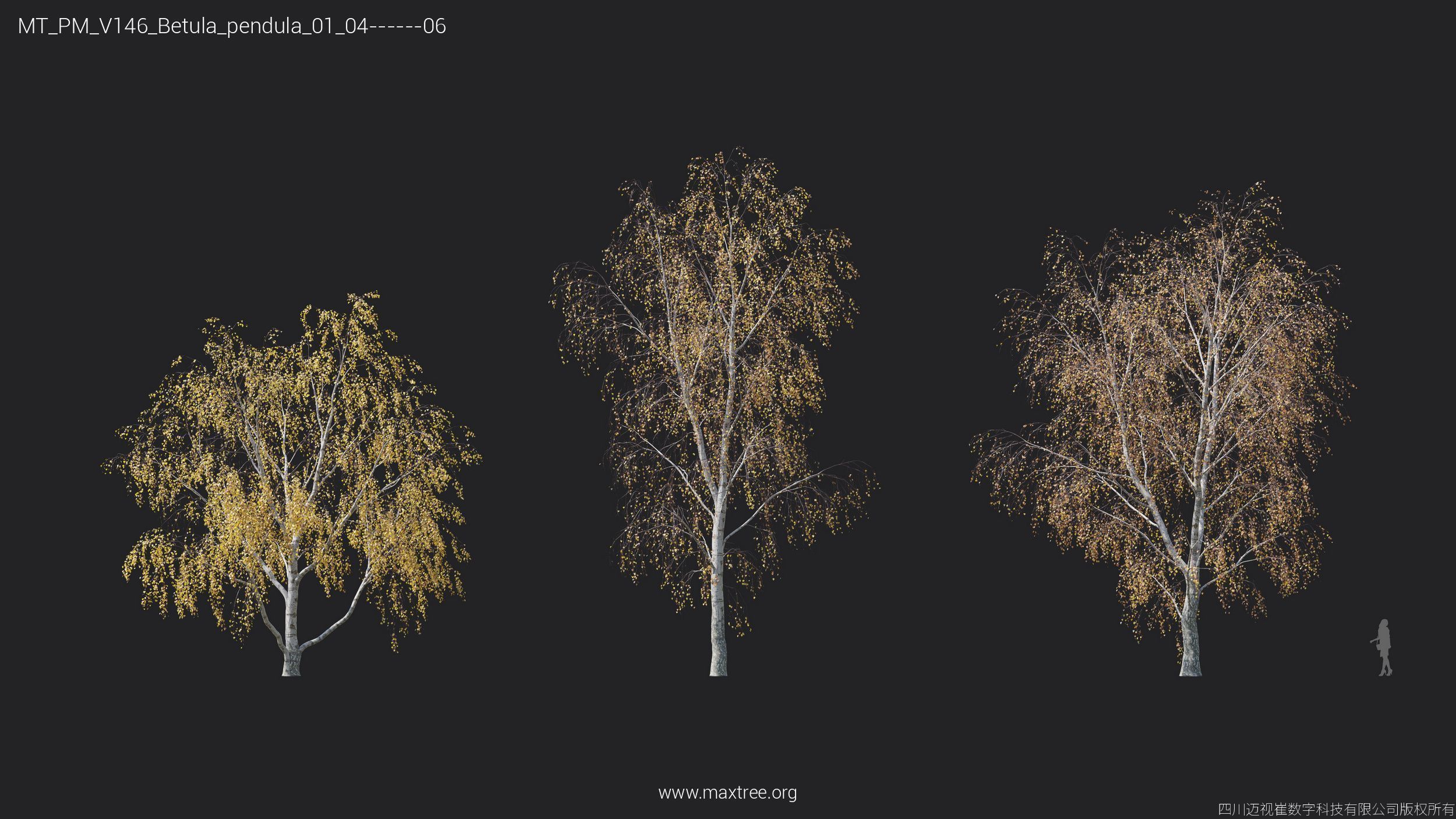 Maxtree Plant Models Vol 146 - Mesh 3D model_10