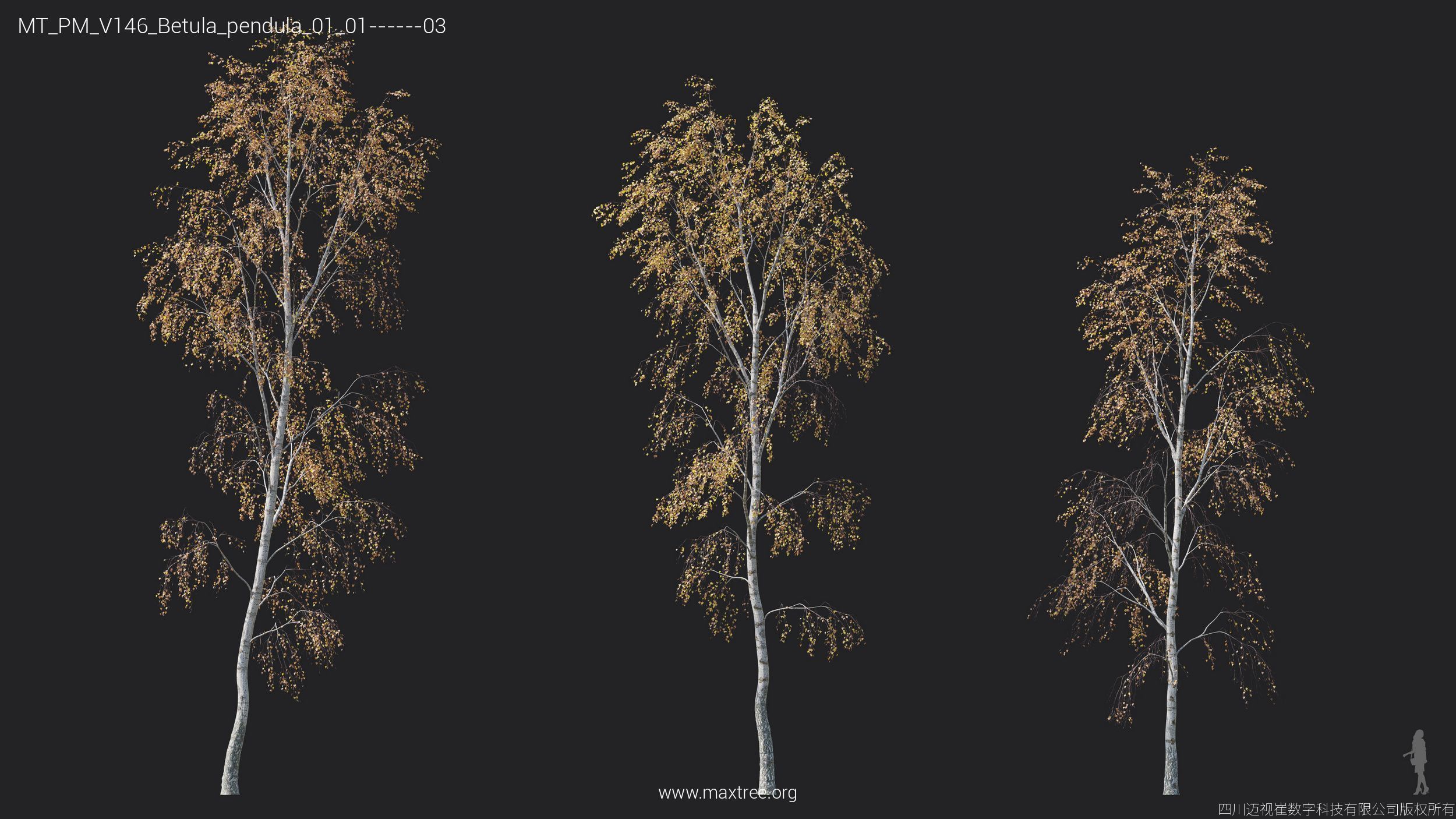 Maxtree Plant Models Vol 146 - Mesh 3D model_9