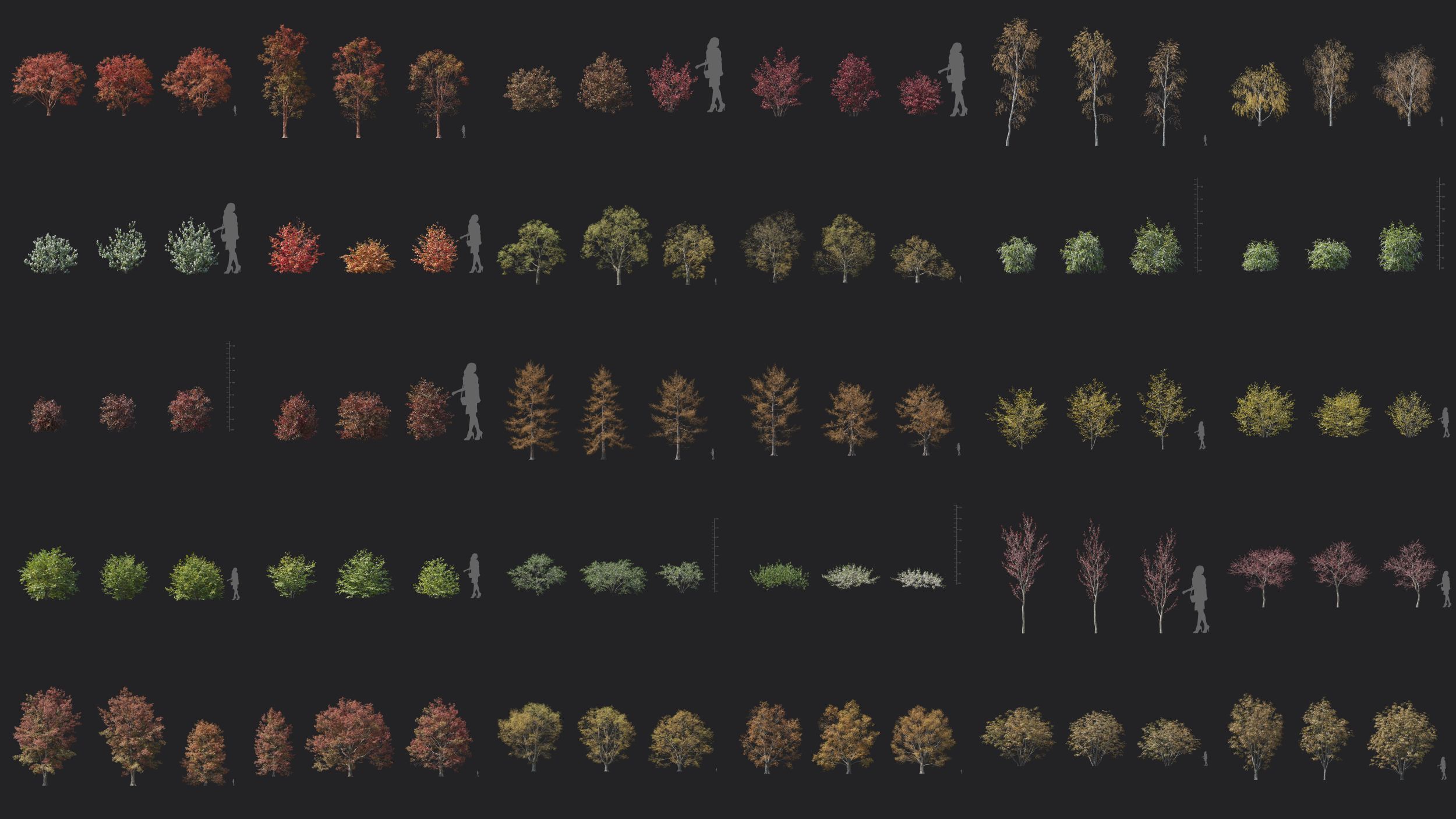 Maxtree Plant Models Vol 146 - Mesh 3D model_4