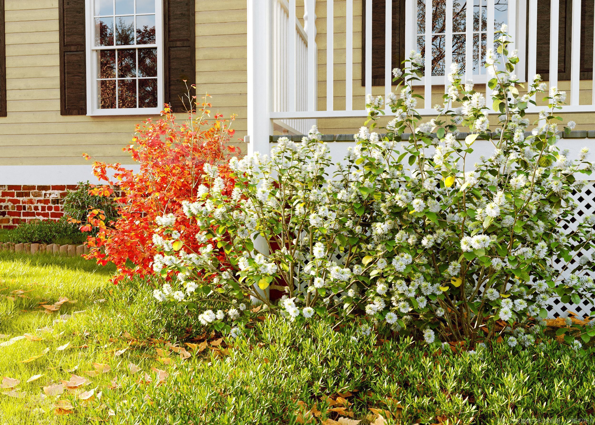 Maxtree Plant Models Vol 146 - Mesh 3D model_2