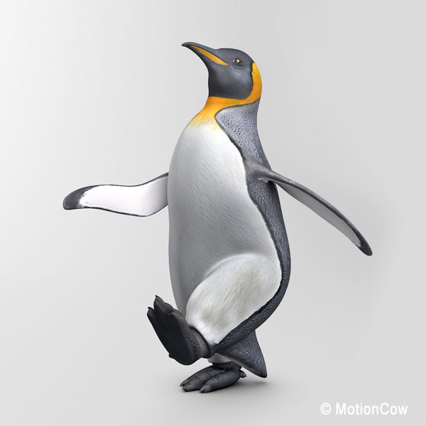 Penguin 3D model_2