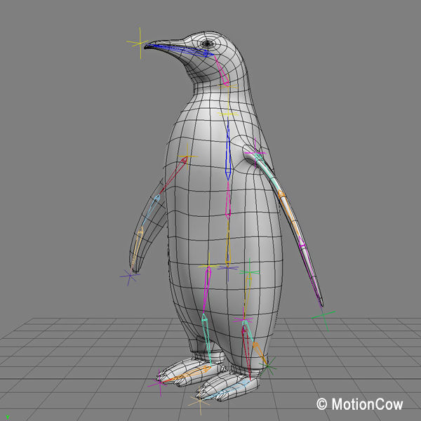 Penguin 3D model_10