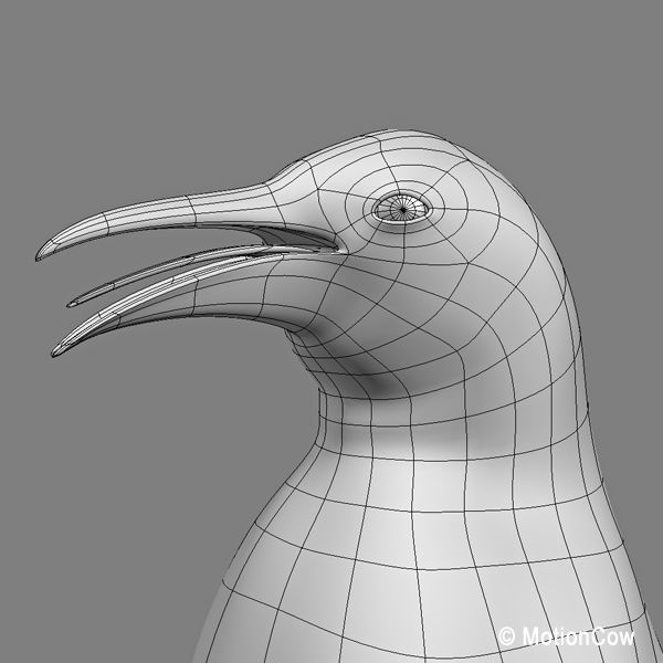 Penguin 3D model_11